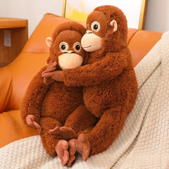 Punch best friend Chimpanzees