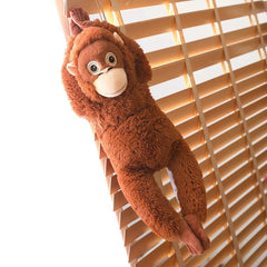 Punch best friend Chimpanzees