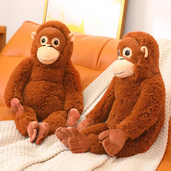 Punch best friend Chimpanzees