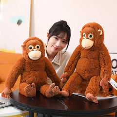 Punch best friend Chimpanzees